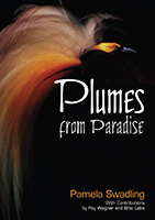 Plumes from Paradise